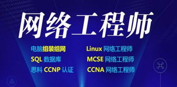 徐书孟携技术团队服务新篇 电脑维修、网络工程与思科微软培训一站式解析