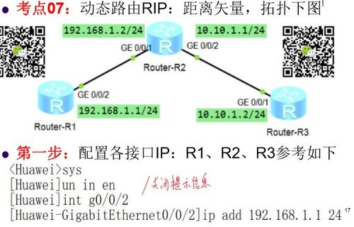 网络工程师复习重点 VLAN、STP与RIP的深入解析
